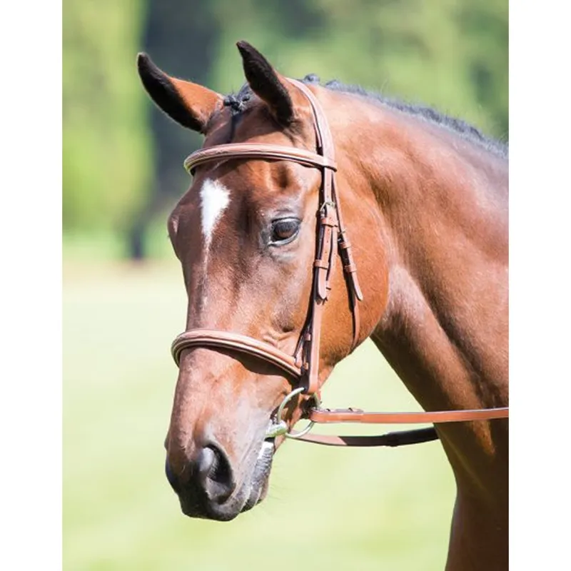 Shires Avignon Padded Raised Cavesson Bridle - Oak